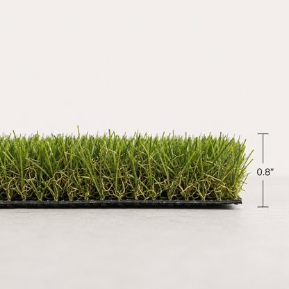 A strip of green artificial turf grass on a black base, shown against a light gray background with a vertical height marker indicating 0.8 inches.   tan thatch.